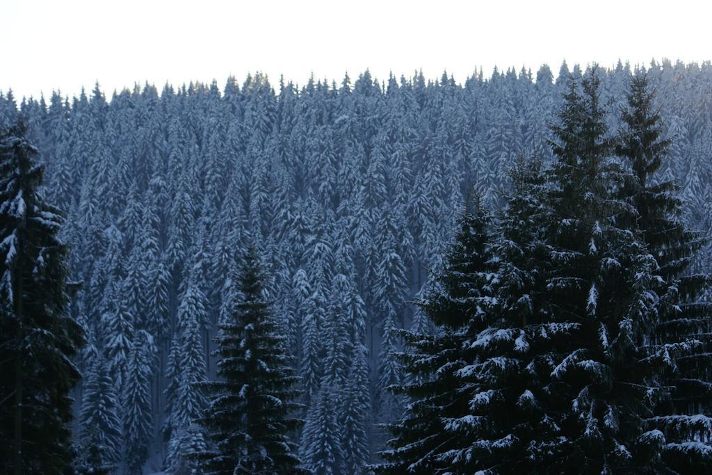 Penzion Apartmány U Semušky Pernink Bagian luar foto