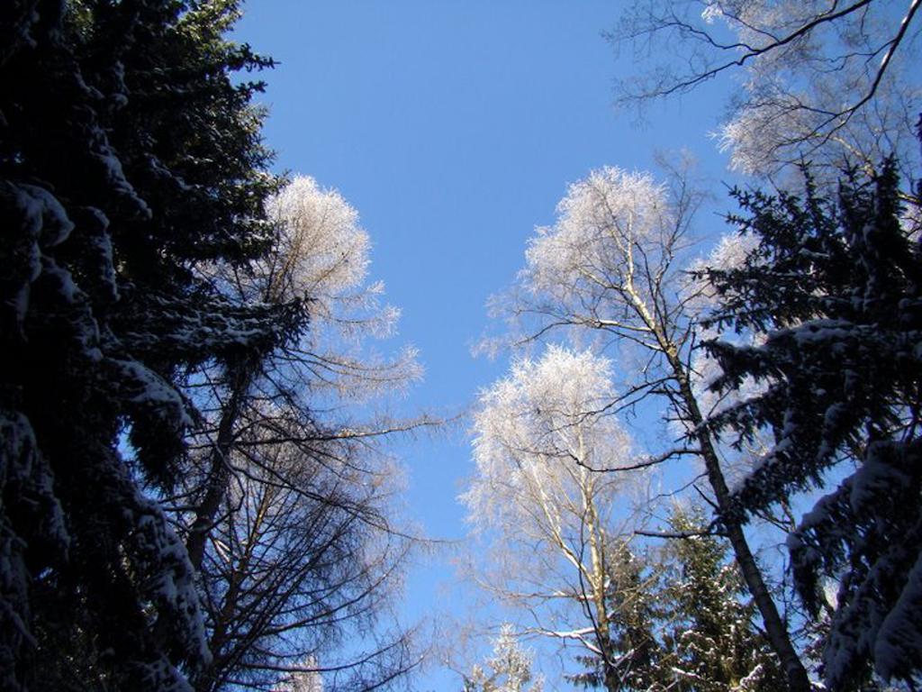 Penzion Apartmány U Semušky Pernink Bagian luar foto